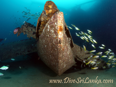 Colombo Cargo Wreck