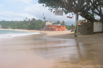 Golden Beaches