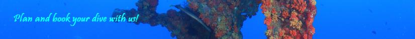 Plan and Book your dive in Sri Lanka